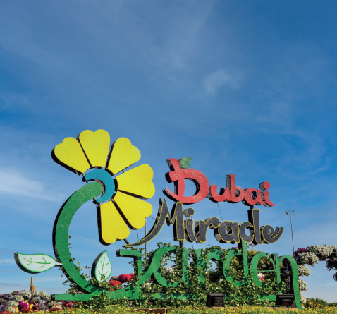 Miracle Garden